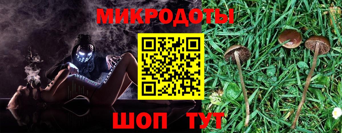 Галлюциногенные грибы мицелий  Вход с VPN  Светлоград 