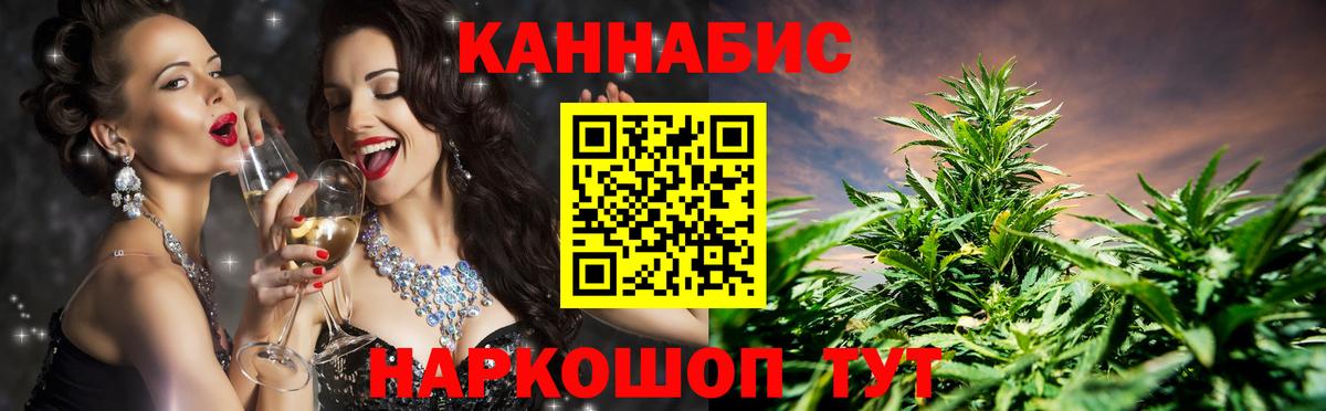 Каннабис сатива Светлоград